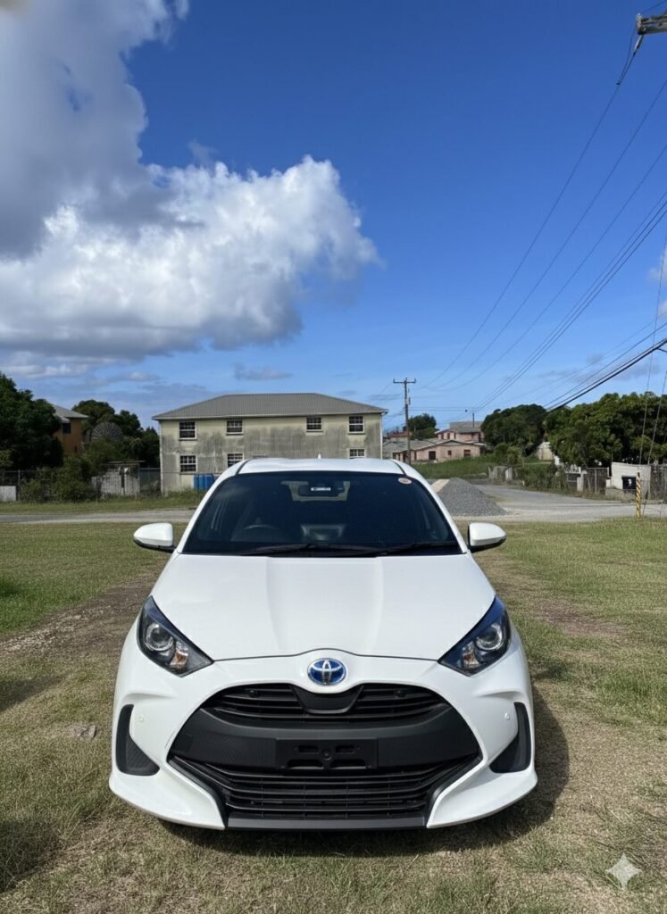 Gemini Generated Image A0v6rsa0v6rsa0v6 747x1024