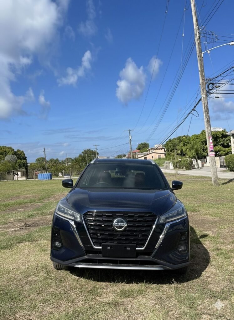 Gemini Generated Image Cpxvcxcpxvcxcpxv 747x1024