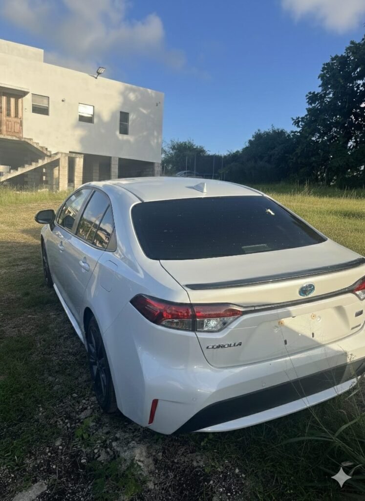 Gemini Generated Image Fkj22pfkj22pfkj2 747x1024