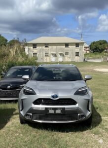 Gemini Generated Image U5kl2nu5kl2nu5kl 219x300