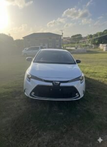 Gemini Generated Image Yrxu82yrxu82yrxu 219x300