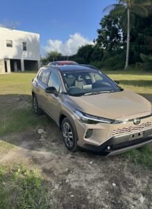 Gemini Generated Image Zhl9jdzhl9jdzhl9 219x300