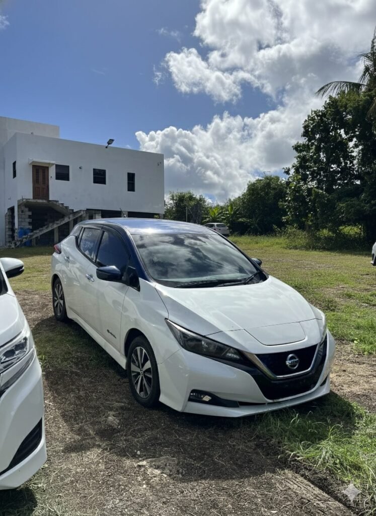 Gemini Generated Image Tl9cwutl9cwutl9c 747x1024