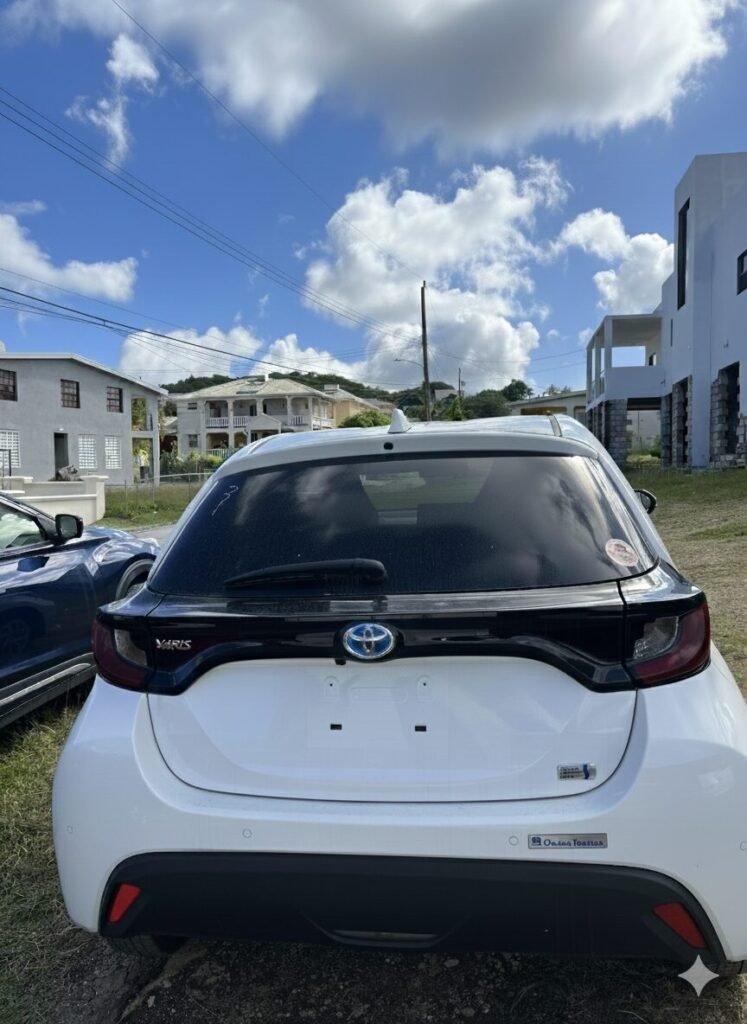 Gemini Generated Image Tniggftniggftnig 747x1024